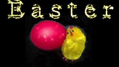 Küçük sarı piliç ve kırmızı paskalya yumurtası. Renkli Paskalya yumurtaları. Hamursuz Bayramı yemeğinin bir parçası. Paskalya (İsa 'nın Parlak Pazarı) en eski ve en önemli Hıristiyan bayramıdır.. 