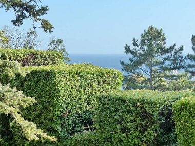 Yusupov Sarayı 'nı park et. Bu, yaklaşık 75.000 tür ve ahşap süs bitkisi kopyası yetiştiren yeşil bir cennettir..