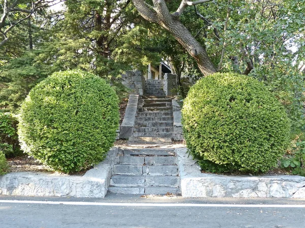 Yusupov Sarayı 'nı park et. Bu, yaklaşık 75.000 tür ve ahşap süs bitkisi kopyası yetiştiren yeşil bir cennettir..