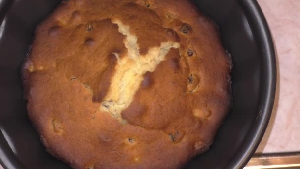 Kulich Tradicional Páscoa Russa Páscoa Domingo Brilhante Cristo Feriado Cristão — Vídeo de Stock