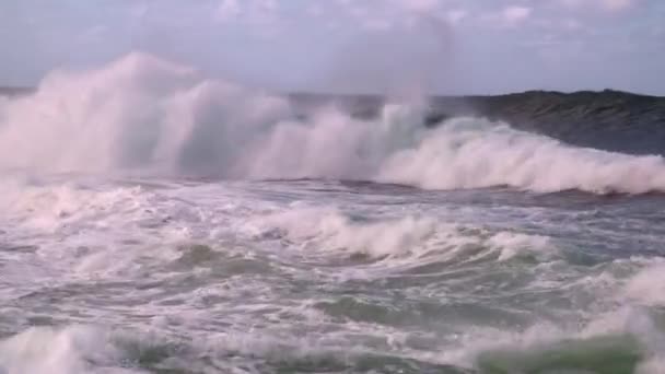 海岸に巨大な波が転がっている — ストック動画