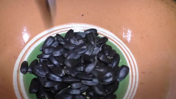油炸葵花籽 一年生葵花籽 它们主要用于生产葵花籽油 然后用于烹调或技术需要 — 图库视频影像