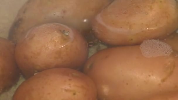 Cooking Potatoes Uniform Potatoes Have Been Subjected Heat Treatment Preparation — Stock Video