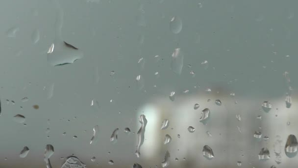 Gotas Vidrio Con Día Otoño Gris Final Del Otoño Pasa — Vídeo de stock