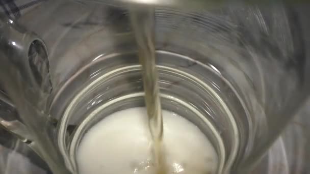 Cerveza Fresca Intoxicante Vierte Vaso Burbujas Espuma Producto Natural Espuma — Vídeo de stock