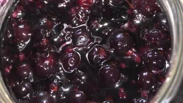 Zubereitung Von Hausgemachter Marmelade Aus Schwarzen Johannisbeeren Schwarze Johannisbeermarmelade Ist — Stockvideo