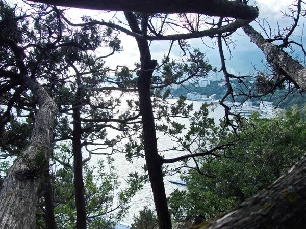 Nuvole Tempesta Sopra Cima Petri Natura Crimea Mare Montagne Nuvole — Foto Stock