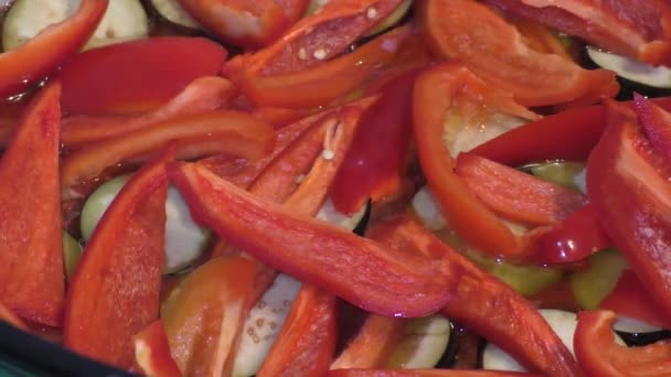 Preparación Eco Casero Partir Pimiento Dulce Berenjena Jugo Tomate Eco — Vídeo de stock