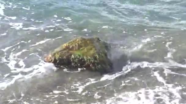 Rocha Coberta Com Algas Marinhas Ergue Acima Superfície Mar Ondas — Vídeo de Stock
