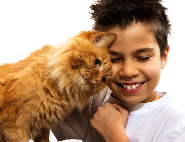 男の子と猫 ストック画像