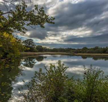 Sonbaharda İngiltere 'nin Southampton yakınlarındaki Eling' deki Bartley Water 'da değirmen göleti manzarası
