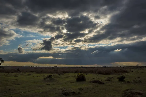 Los Rayos Luz Iluminan Brezal New Forest Atardecer Cerca Fordingbridge — Foto de Stock