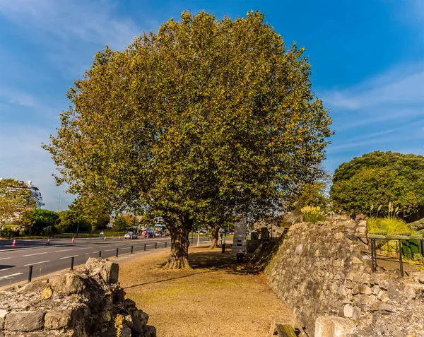 Blick Gegenüber Dem Mayflower Park Entlang Der Alten Stadtmauer Southampton — Stockfoto