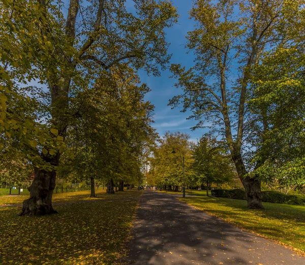 Uma Vista Sobre Palmerston Park Southampton Reino Unido Outono — Fotografia de Stock