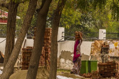 Chandni Midway, Narnaul, Rajasthan, Hindistan 'da tuğla taşıyan kadınlar