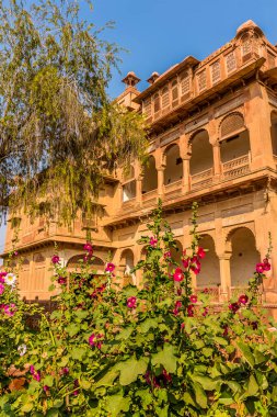 Hindistan, Rajasthan, Bikaner 'deki Junagarh Kalesi' nin önünde çiçek manzarası