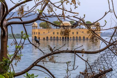 Jaipur, Rajasthan, Hindistan 'daki Man Sagar gölünün kıyısında bir manzara.