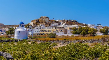 Santorini 'deki Akortiri yerleşim yerindeki mavi kubbeli kilise ve asma tarlaları