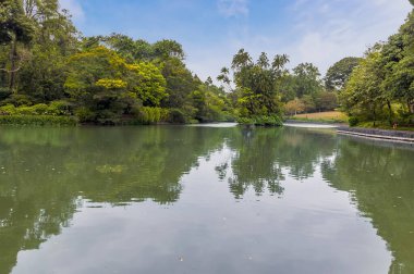 Singapur, Asya 'daki Botanik Bahçeleri' nde bir göl manzarası.