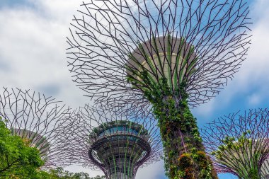 Singapur Körfezi, Asya 'daki Bahçeler' de süper ağaçlardan oluşan bir gölgelik.