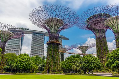Singapur, Asya 'daki Marina Bay Sands oteli ile körfez yakınlarındaki Gardens' ta bir ağaçlık ve yükseltilmiş yürüyüş yolu manzarası.