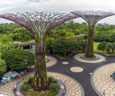 Singapur, Asya 'daki körfez kıyısındaki Bahçeler' deki süper ağaç koruluğundan yükseltilmiş bir yürüyüş yolu manzarası.