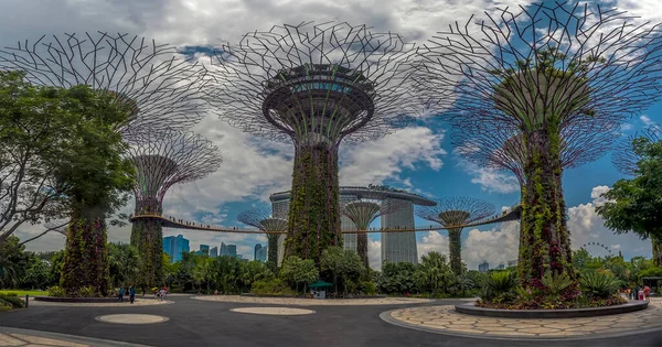 Una Vista Panorámica Una Arboleda Súper Árboles Los Jardines Junto — Foto de Stock