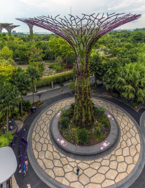 Singapur, Asya 'daki körfez kıyısındaki Gardens' ta yükseltilmiş bir süper ağacın hava manzarası.