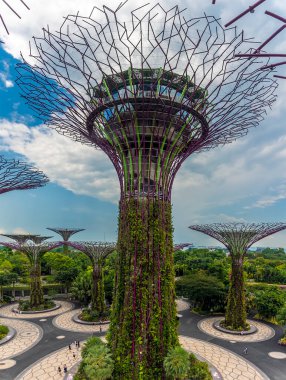 Singapur, Asya 'daki Bahçe Körfezi' nin yakınındaki süper ağaç koruluğuna yakın bir görüntü.