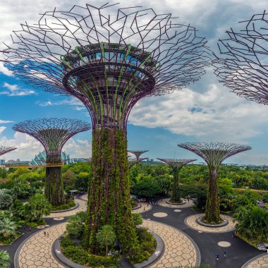 Singapur, Asya 'daki Bahçe Körfezi' ndeki süper ağaç koruluğunun manzarası.
