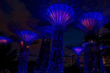 Geceleri Singapur, Asya 'daki körfezdeki Bahçeler' deki mavi ışıklarla aydınlatılan süper ağaçlar.