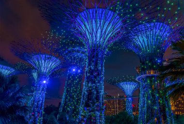 Singapur Körfezi, Asya 'daki Bahçeler' de mavi ve yeşil ışıklarla aydınlatılmış süper ağaçlar.