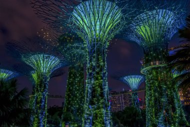 Singapur, Asya 'daki körfez yakınlarındaki Bahçeler' de mavi ve yeşil ışıklarla aydınlatılmış süper ağaçlar.