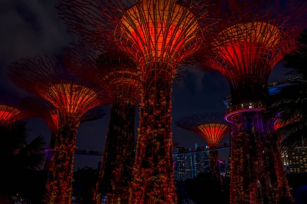 Singapur Körfezi Asya Daki Bahçeler Deki Kırmızı Işıklarla Aydınlatılmış Süper — Stok fotoğraf
