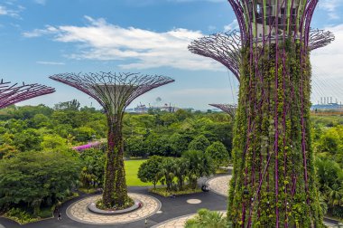 Singapur, Asya 'daki Bahçe Körfezi' ndeki süper ağaç koruluğunun manzarası.