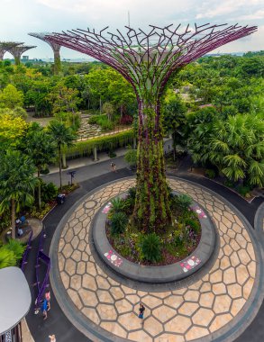 Singapur, Asya 'daki körfez kıyısındaki Gardens' ta yükseltilmiş bir süper ağacın hava manzarası.