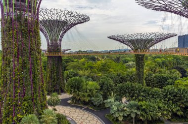 Singapur, Asya 'daki körfez kıyısındaki Bahçeler' deki süper ağaç koruluğundaki yükseltilmiş yürüyüş yolunun manzarası.