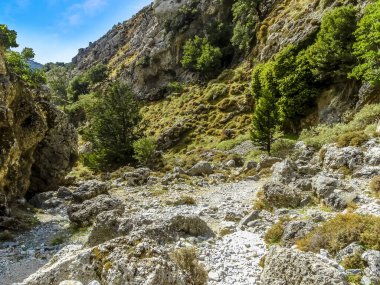 Güneşli bir günde Girit, Chania yakınlarındaki Imbros Boğazı 'nın kayalık, ağaçlarla kaplı manzarası.