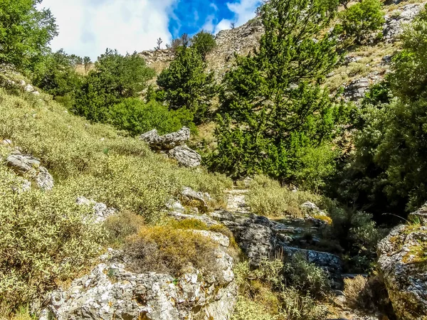Ser Upp Till Kanten Imbros Gorge Nära Chania Kreta Ljus — Stockfoto