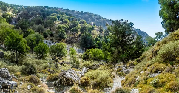 Panorama Utsikt Över Imbros Gorge Nära Chania Kreta Ljus Solig — Stockfoto