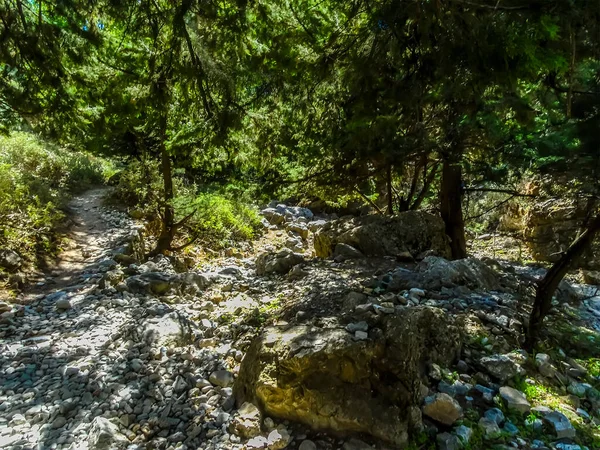 Sendero Encuentra Con Una Zona Boscosa Garganta Imbros Cerca Chania —  Fotos de Stock