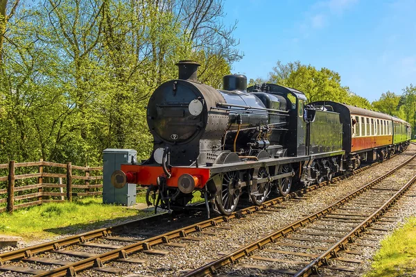 Tren Vapor Una Línea Ferrocarril Sussex Reino Unido Soleado Día — Foto de Stock