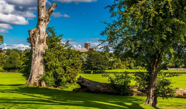 Widok Katedrę Verulamium Park Albans Wielka Brytania Lecie — Zdjęcie stockowe