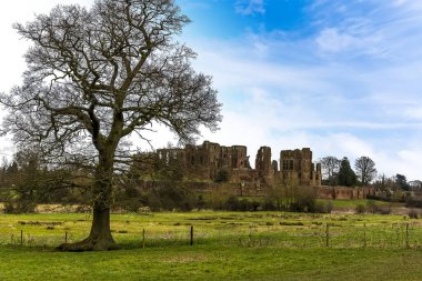 Kenilworth, İngiltere 'deki 