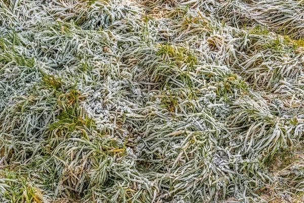 明るい霜の冬の日に スメトン ウェスタービーの近くの霜の多い地面の終わり — ストック写真