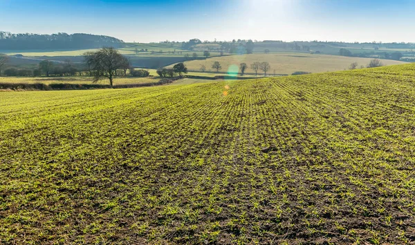 Uma Vista Para Sol Através Campos Recém Cultivados Perto Smeeton — Fotografia de Stock