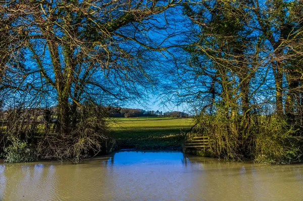 Terres Agricoles Inondées Bord Canal Grand Union Royaume Uni Par — Photo