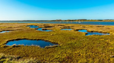 Bataklıklardan Aldeburgh, Suffolk yakınlarındaki Alde nehrine bir manzara.