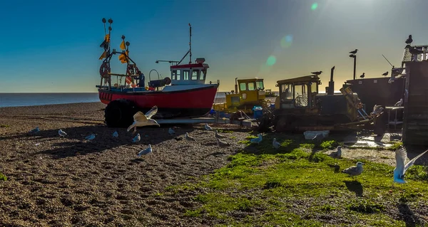 Чайки Збираються Змагаються Уламки Рибалки Пляжі Альдебурзі Саффолк — стокове фото
