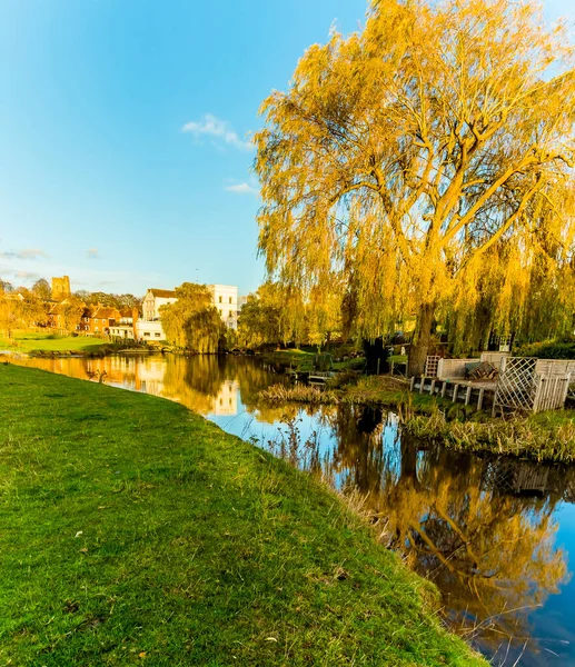 Vrba Odráží Řece Stour Západním Okraji Sudbury Suffolk — Stock fotografie